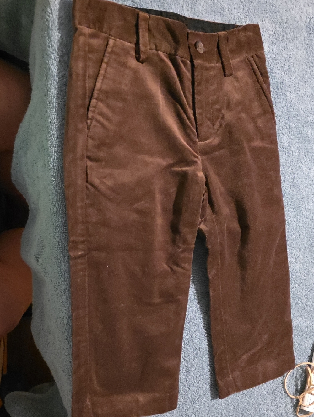 Janie and Jack Brown Velour/velvet Kids Pants